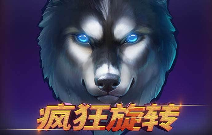 九龙体育app